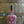Laden Sie das Bild in den Galerie-Viewer, Dictador Wixarika 41 Years 59,5% 0,7L