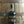 Laden Sie das Bild in den Galerie-Viewer, GlenAllachie 30 Years Batch 2 50,8% 0,7L