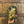 Laden Sie das Bild in den Galerie-Viewer, Rest & Be Thankful Monymusk 21 Years 66,6% 0,7L